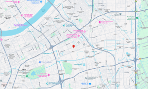 DCSPD Location image for 266 LanÁn Road, Jinqiao, Shaghai, China
